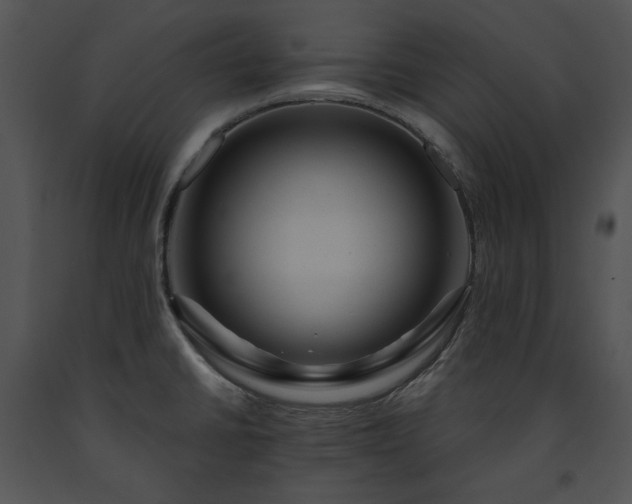 X0000091641430200708301349