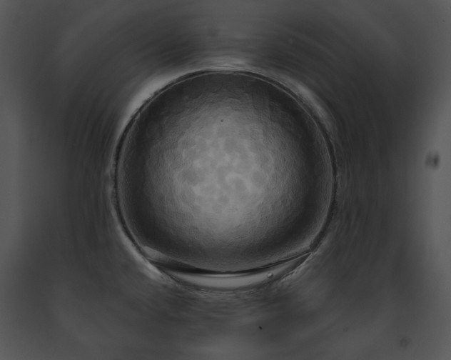 X0000091641432200708301349