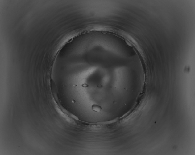 X0000091641433200708301349