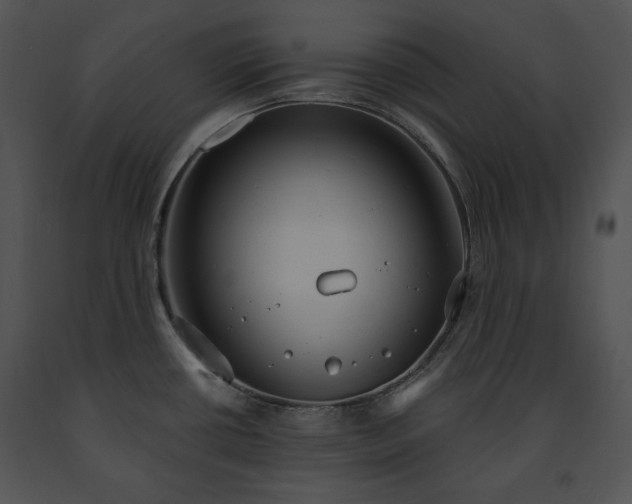 X0000091641434200708301349