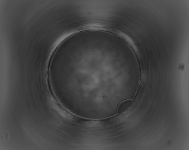 X0000091641435200708301349