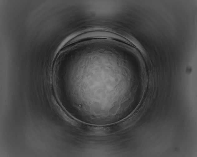 X0000091641436200708301349