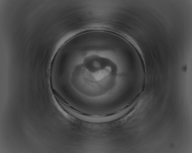 X0000091641437200708301349