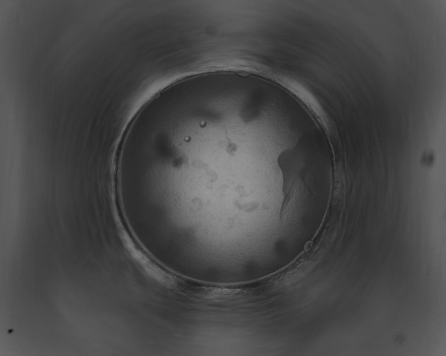 X0000091641439200708301350