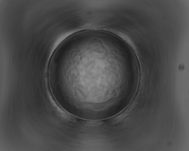 X0000091641440200708301350