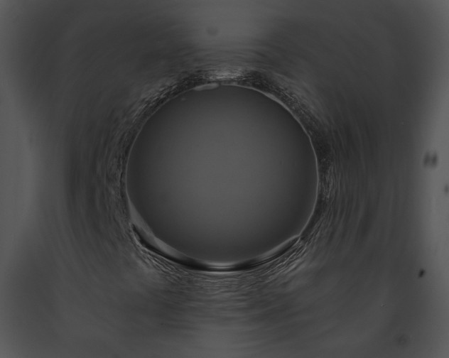 X0000091641441200708301349