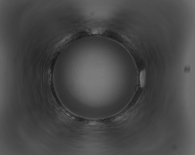 X0000091641443200708301349