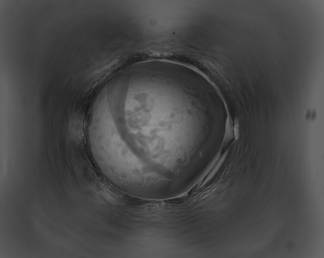 X0000091641444200708301349