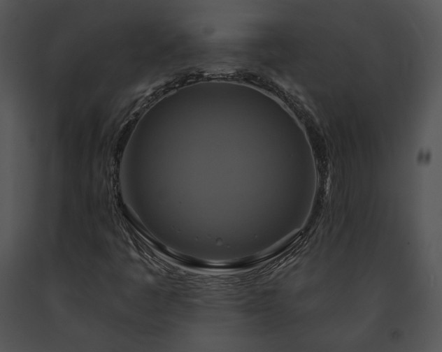 X0000091641445200708301349