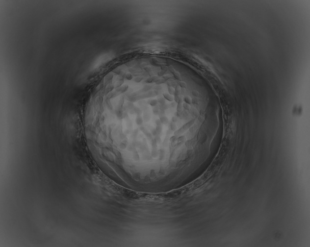 X0000091641446200708301349