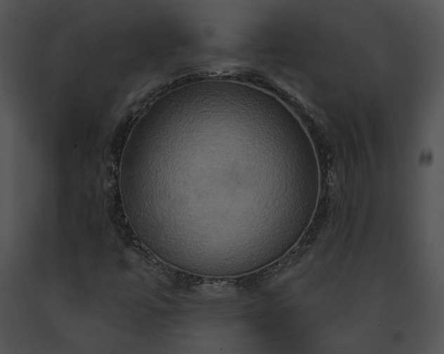 X0000091641447200708301349