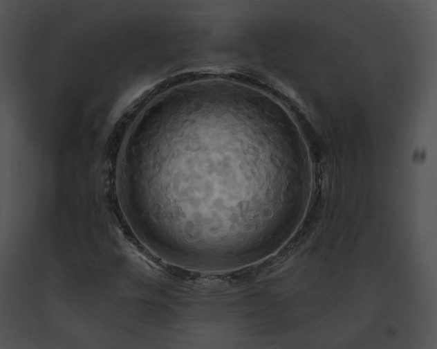 X0000091641448200708301349