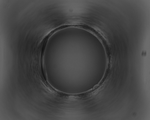 X0000091641449200708301349