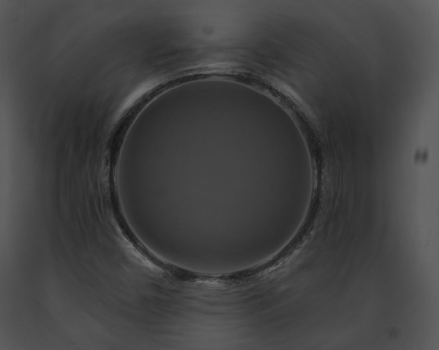 X0000091641450200708301349