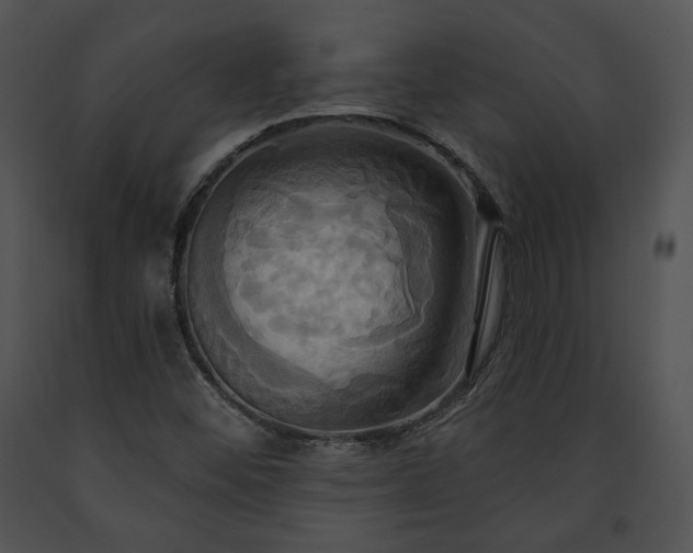 X0000091641452200708301349