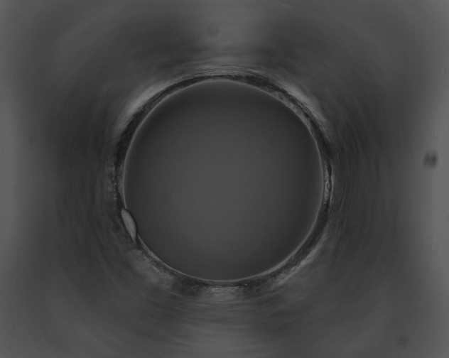 X0000091641453200708301349