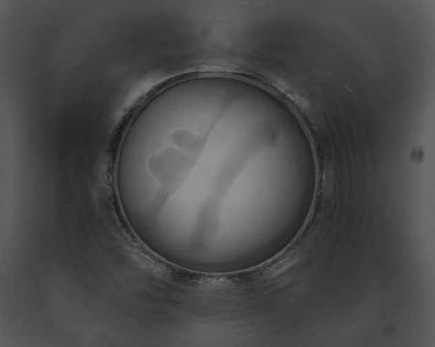 X0000091641454200708301349