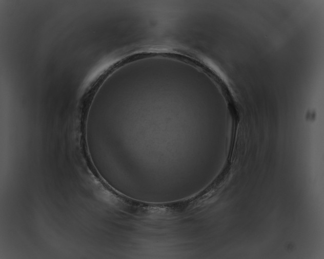 X0000091641456200708301349