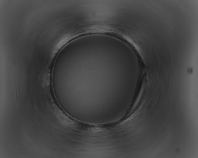 X0000091641459200708301349
