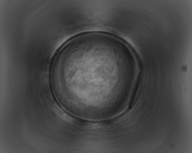 X0000091641460200708301349