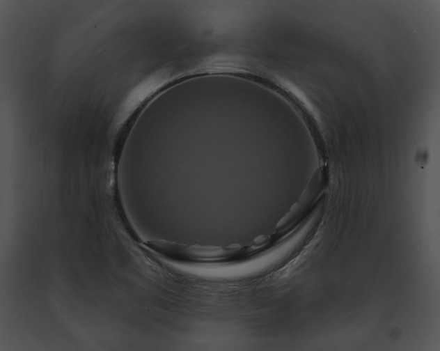 X0000091641461200708301349