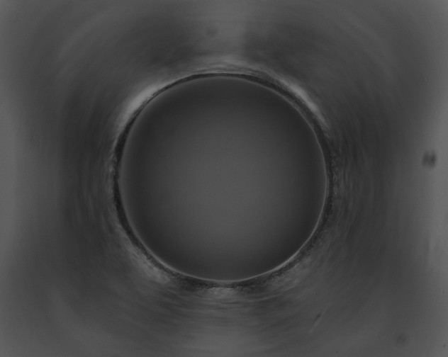 X0000091641463200708301349