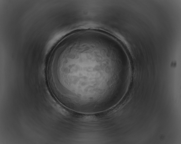 X0000091641464200708301349