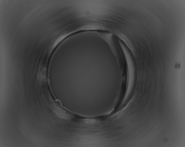 X0000091641465200708301349