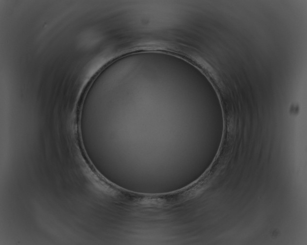 X0000091641466200708301349