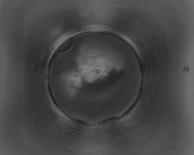 X0000091641467200708301349