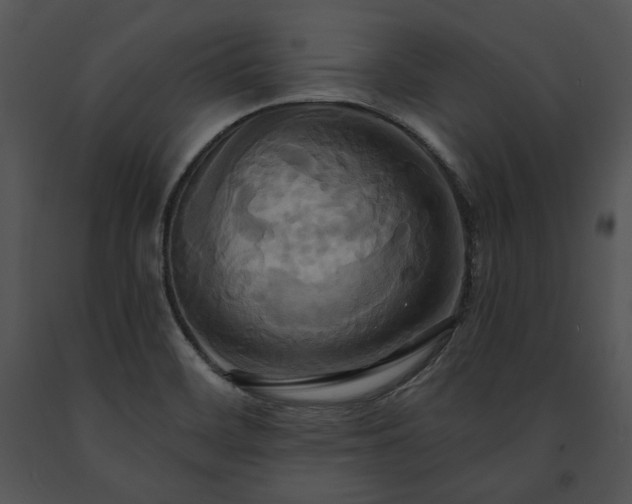 X0000091641468200708301349