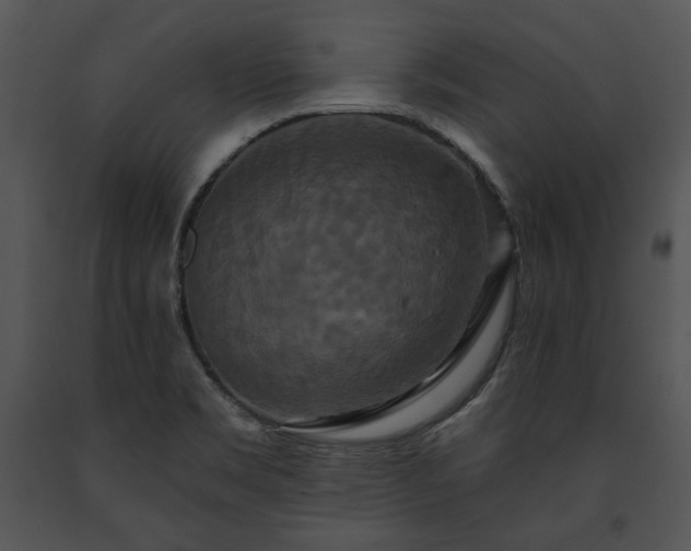 X0000091641469200708301349