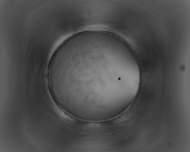 X0000091641470200708301349