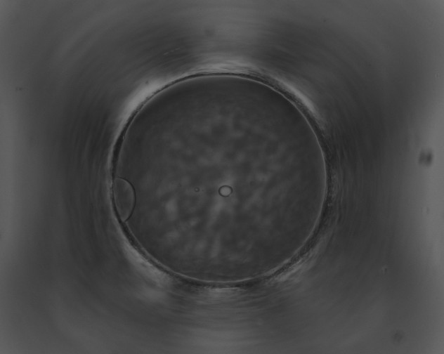 X0000091641471200708301349