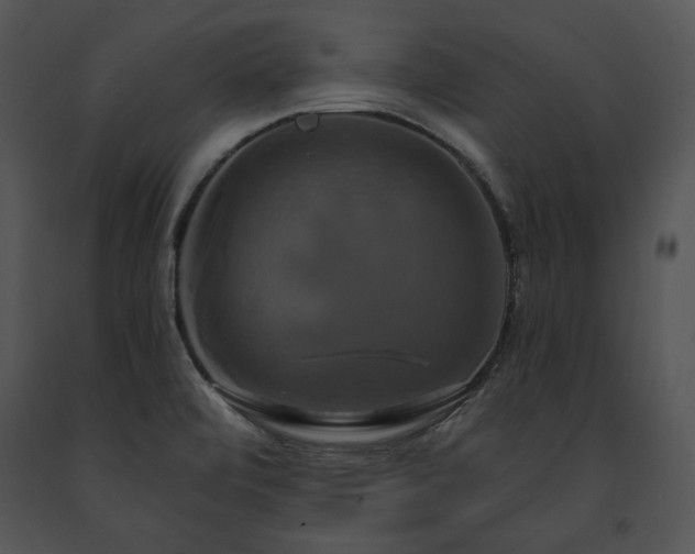 X0000091641472200708301349