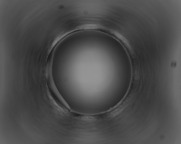 X0000091641473200708301349