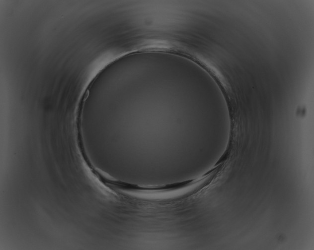 X0000091641475200708301349