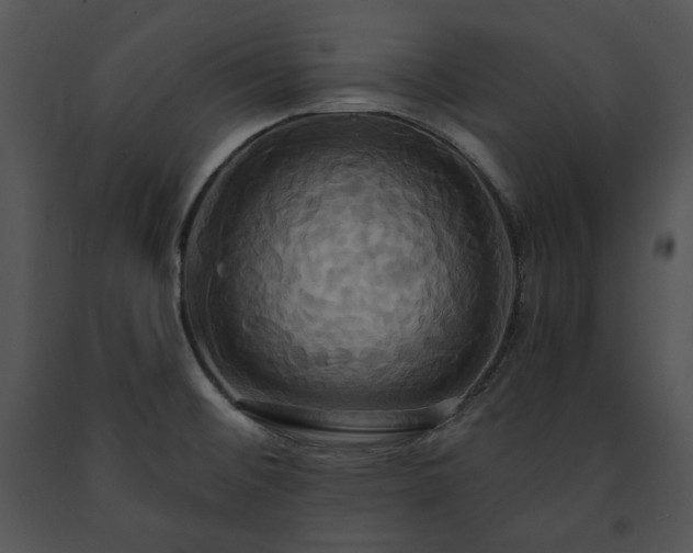 X0000091641476200708301348