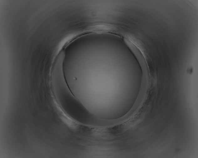 X0000091641477200708301348