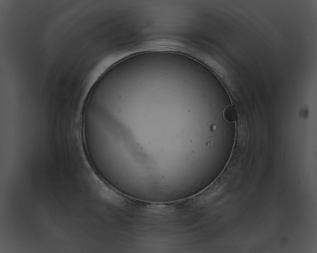 X0000091641478200708301348