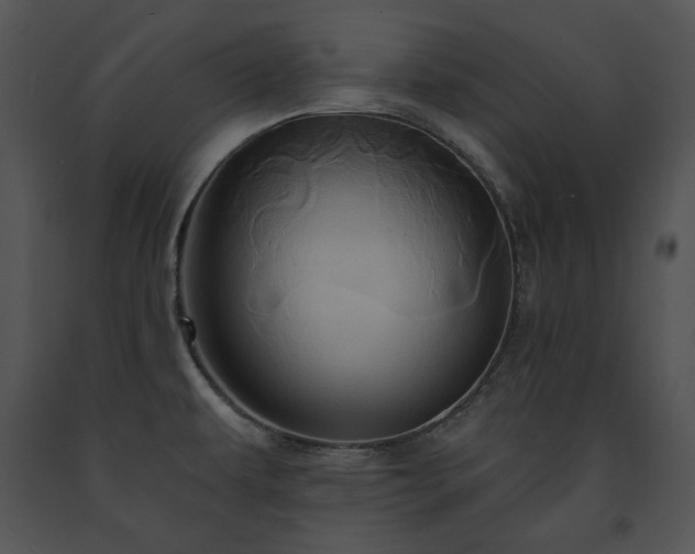 X0000091641479200708301348