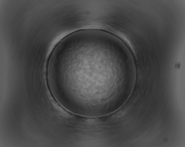 X0000091641480200708301348