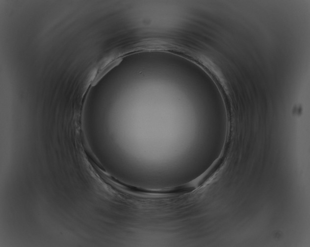 X0000091641481200708301348