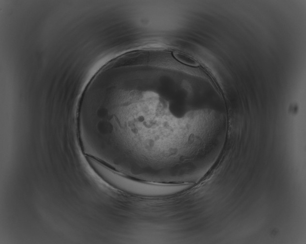 X0000091641483200708301348