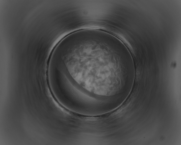 X0000091641484200708301348