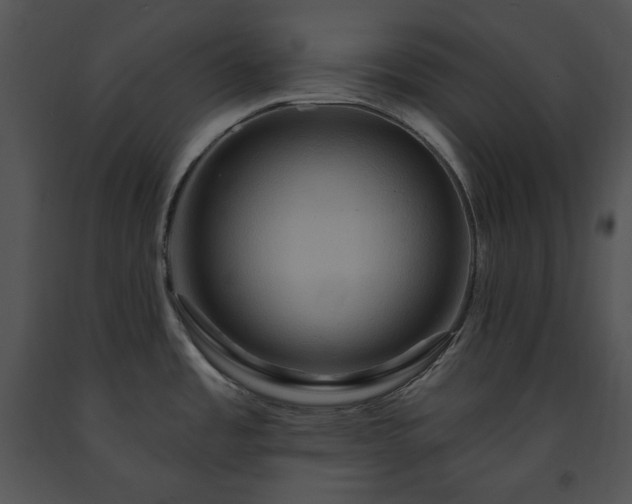 X0000091641485200708301348