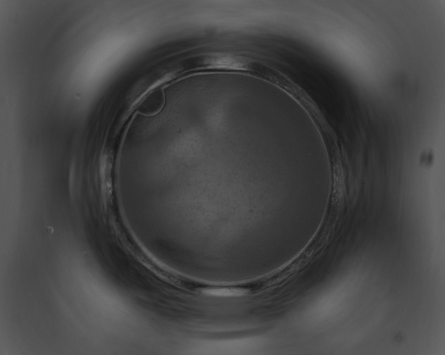 X0000091641487200708301348