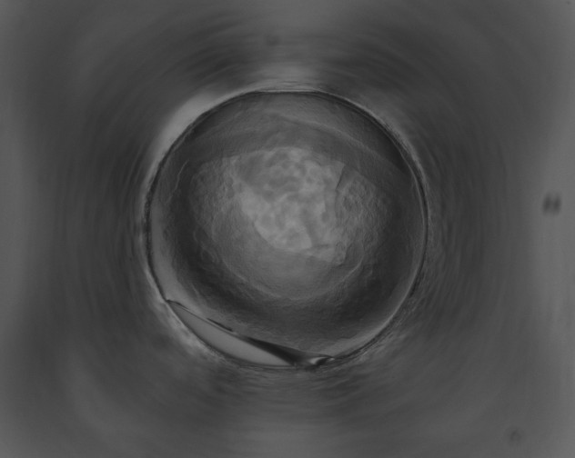 X0000091641488200708301348