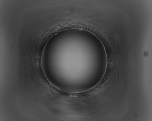 X0000091641490200708301348