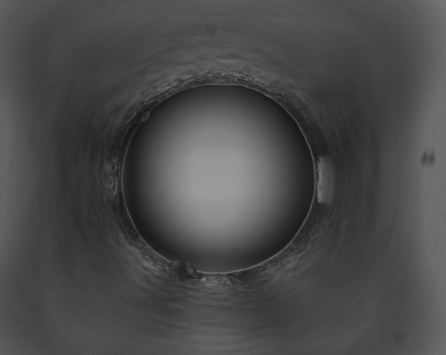 X0000091641491200708301348